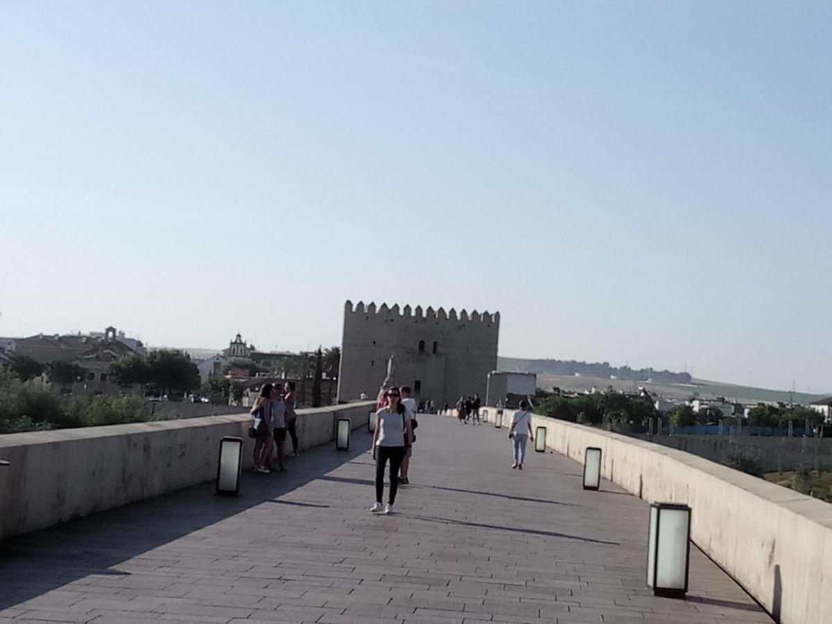 Lineros 24 Lägenhet Córdoba Exteriör bild