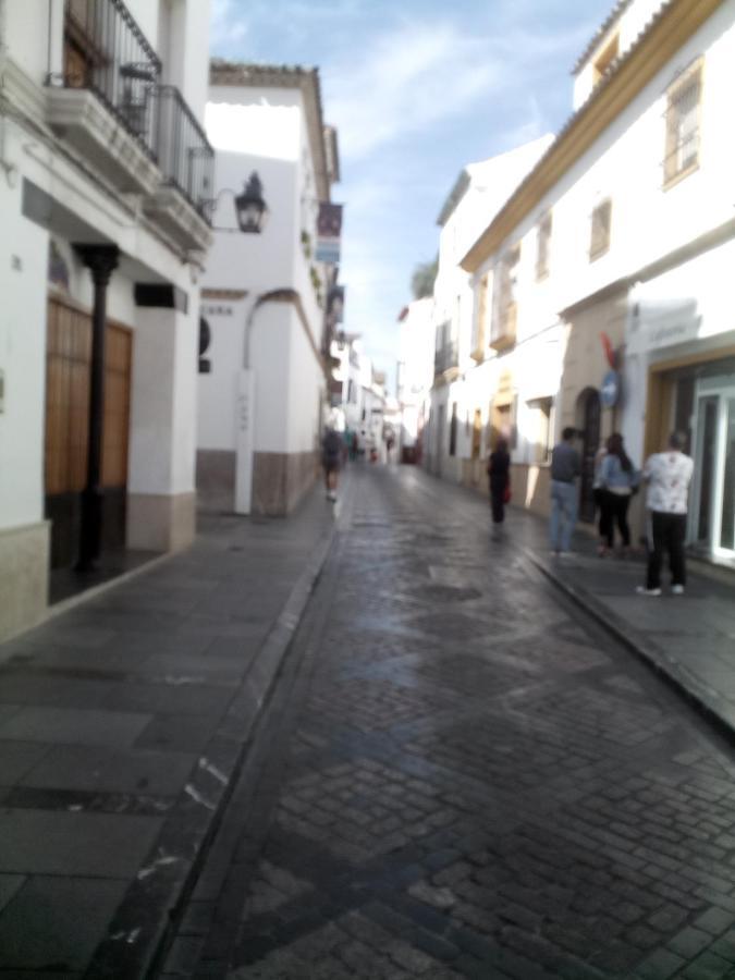 Lineros 24 Lägenhet Córdoba Exteriör bild